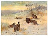 Archibald Thorburn Wall Art - Close of a Winter's Day